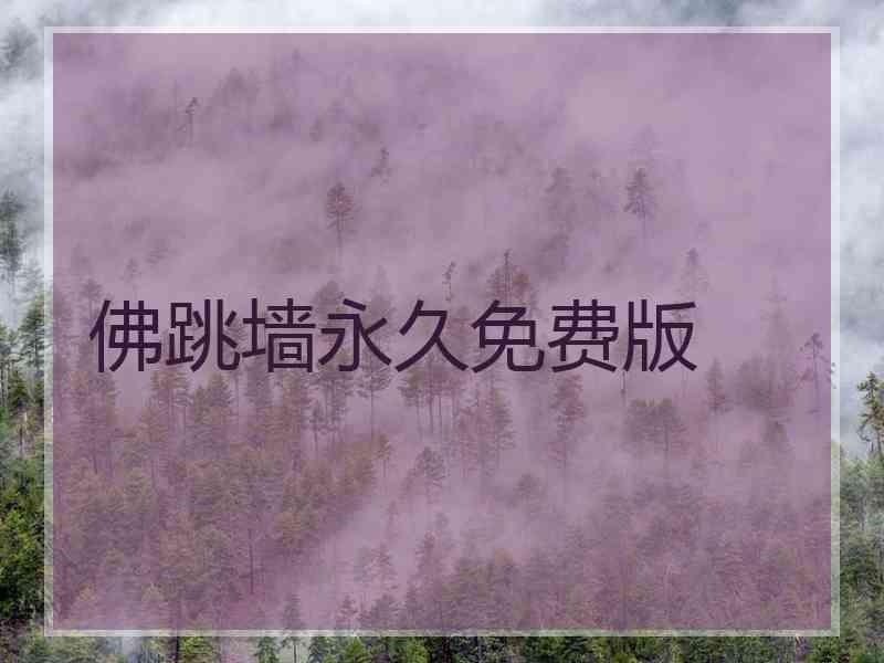 佛跳墙永久免费版