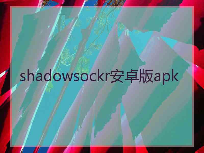 shadowsockr安卓版apk