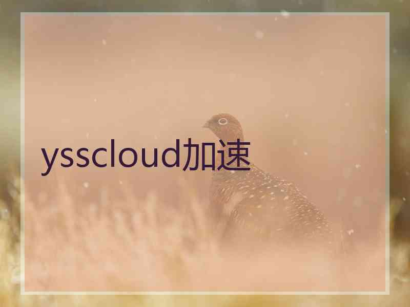 ysscloud加速