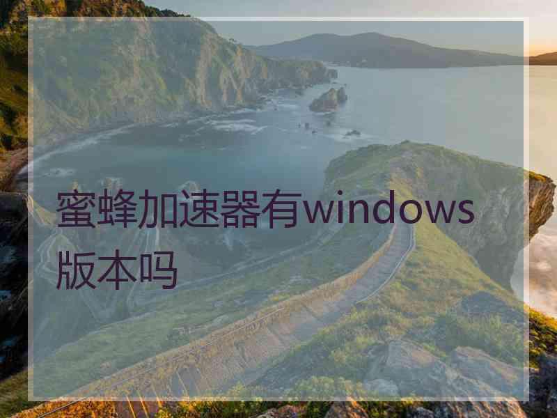 蜜蜂加速器有windows版本吗