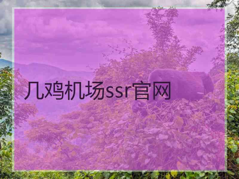 几鸡机场ssr官网