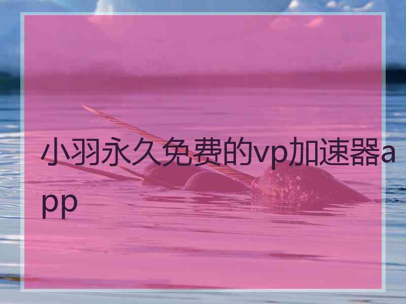 小羽永久免费的vp加速器app