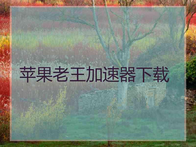 苹果老王加速器下载