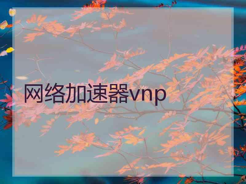 网络加速器vnp