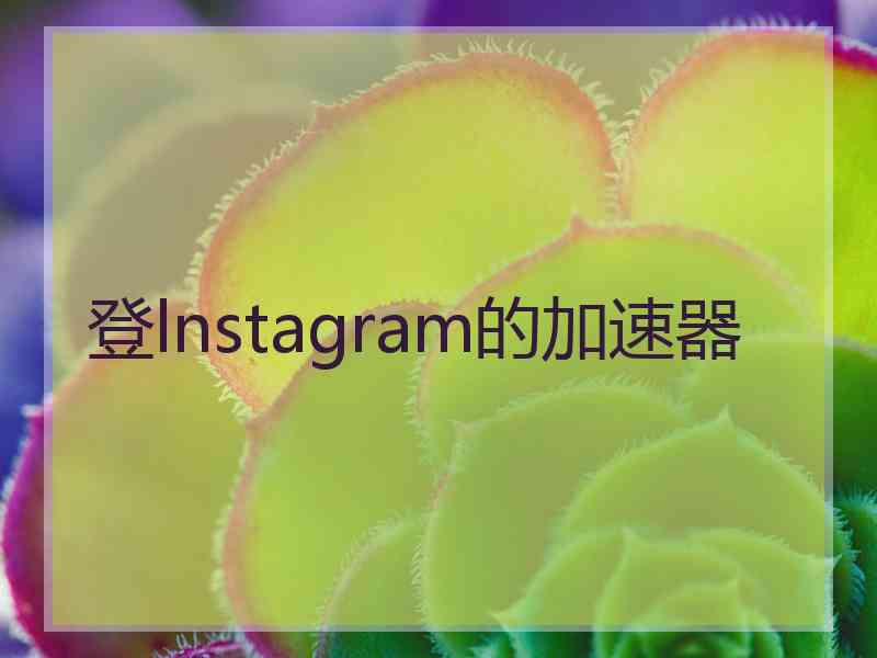 登lnstagram的加速器