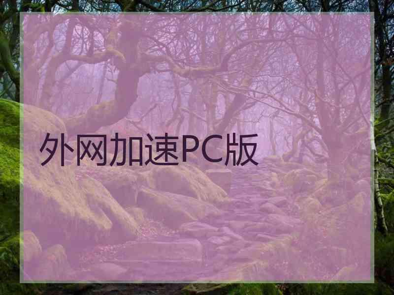 外网加速PC版