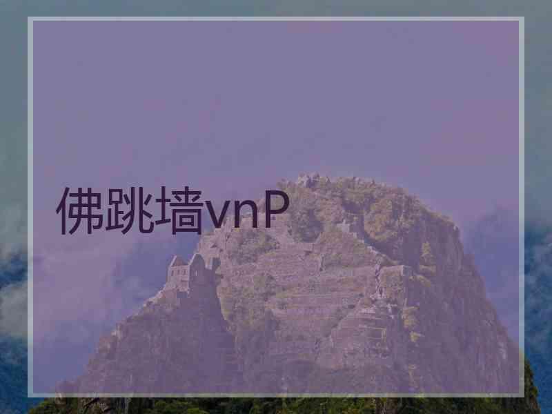 佛跳墙vnP