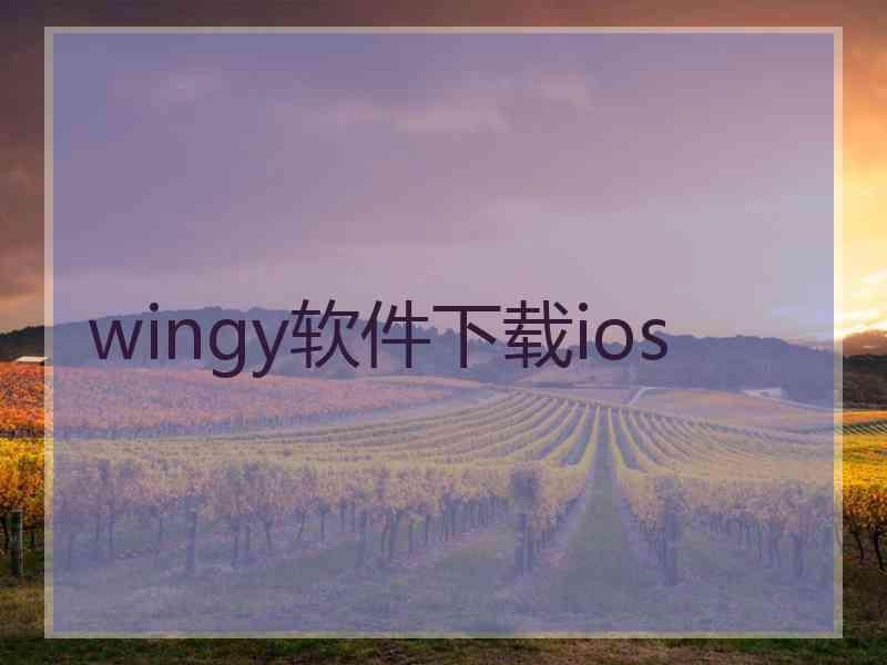 wingy软件下载ios