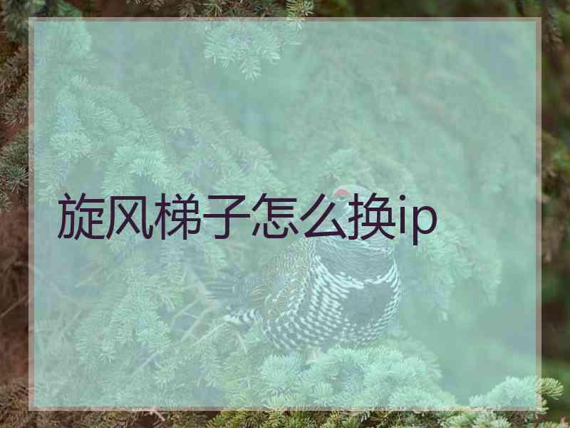 旋风梯子怎么换ip