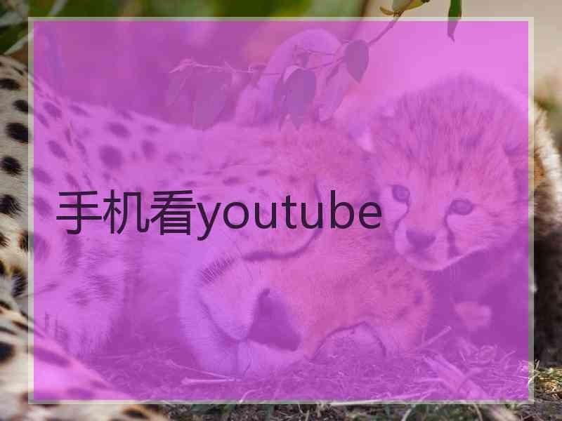 手机看youtube