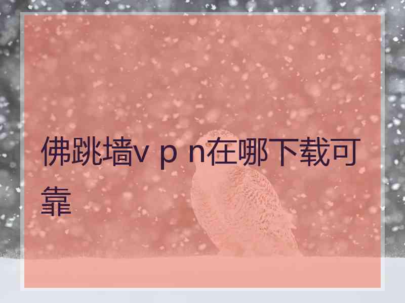 佛跳墙v p n在哪下载可靠