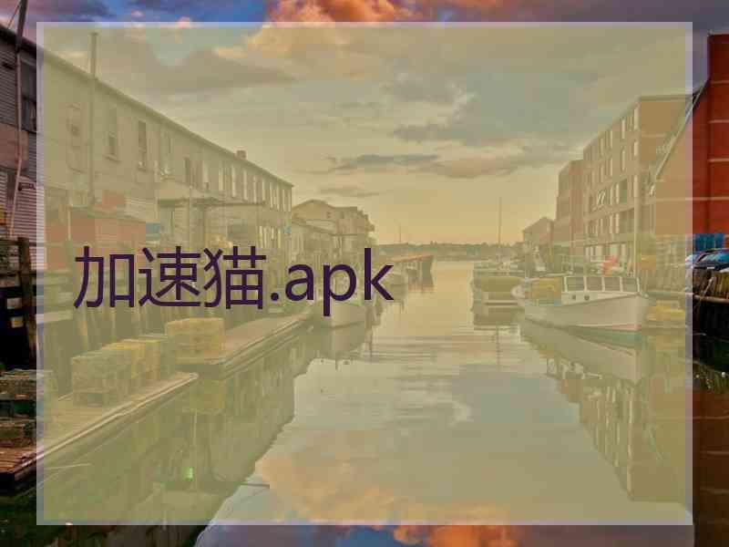 加速猫.apk