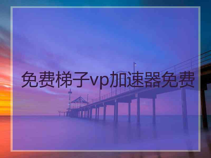 免费梯子vp加速器免费