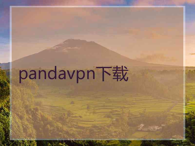 pandavpn下载