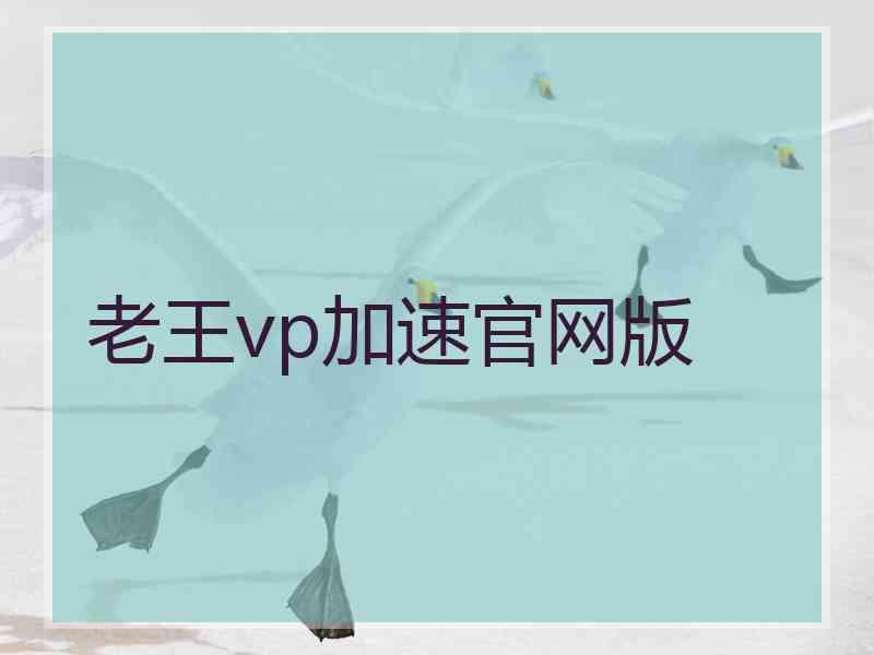 老王vp加速官网版