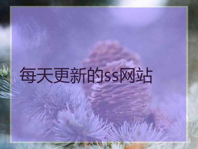 每天更新的ss网站