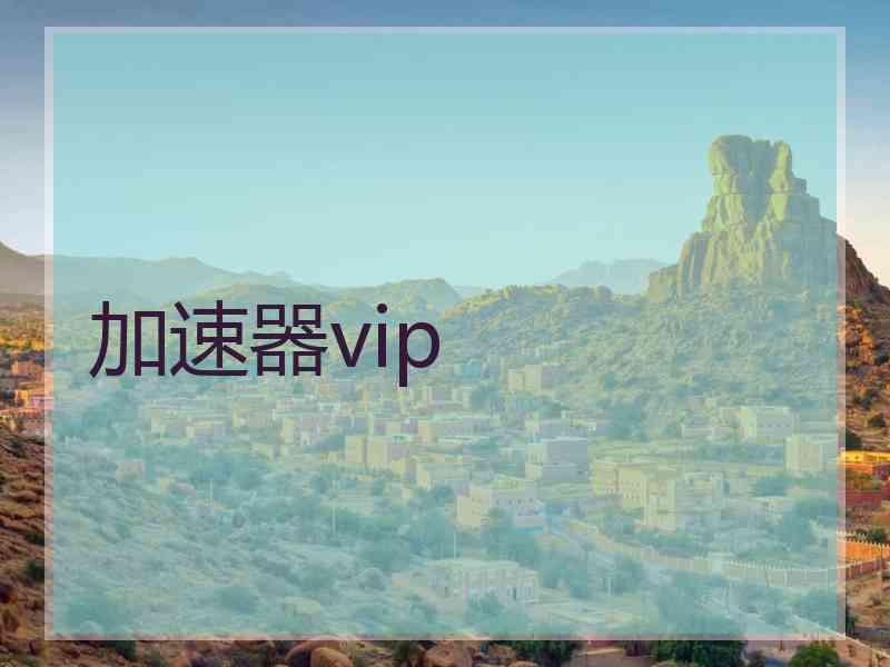 加速器vip