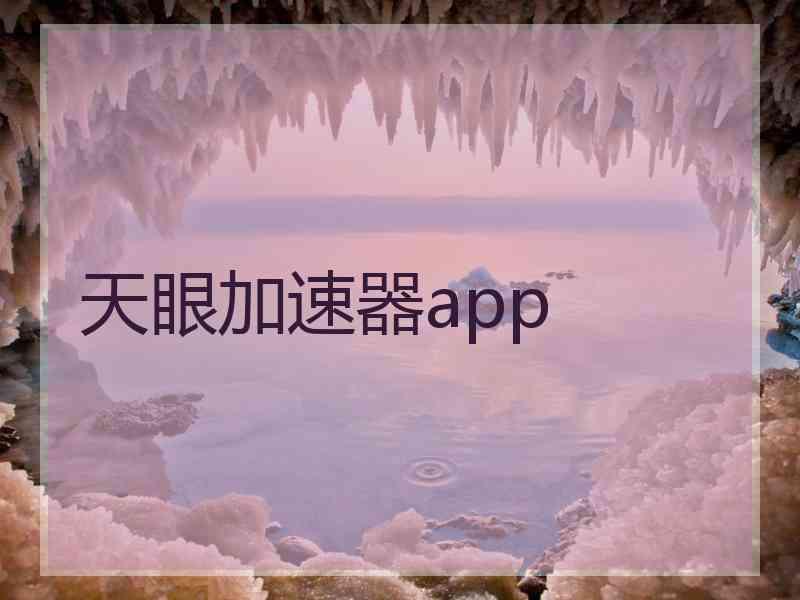 天眼加速器app