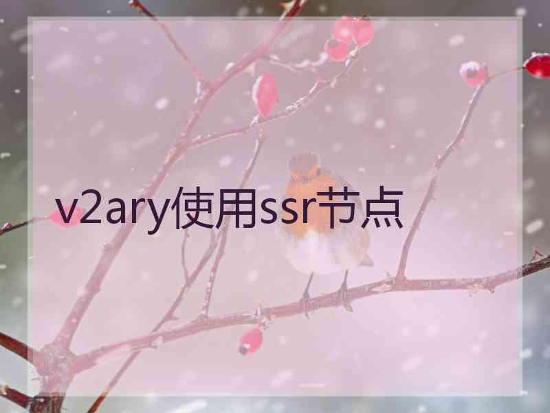 v2ary使用ssr节点