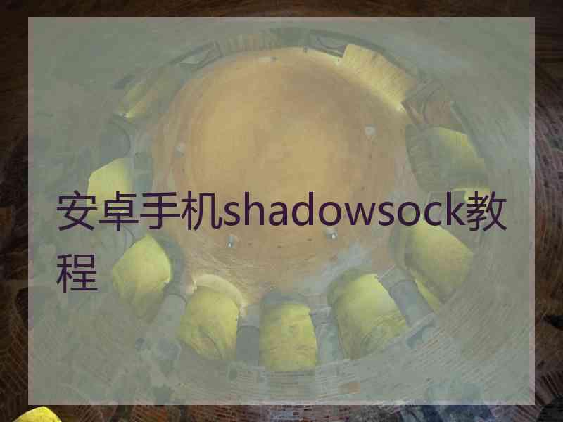 安卓手机shadowsock教程