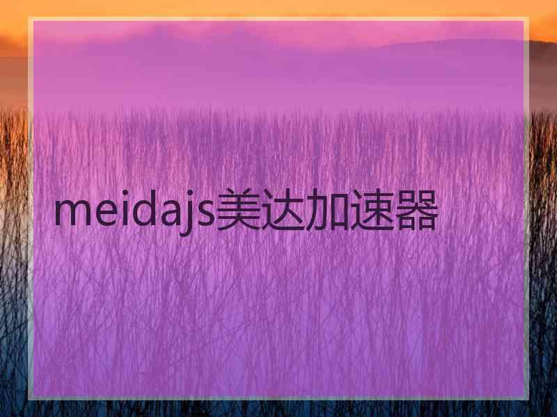 meidajs美达加速器