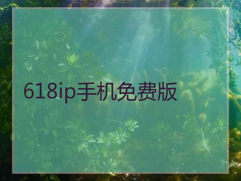 618ip手机免费版