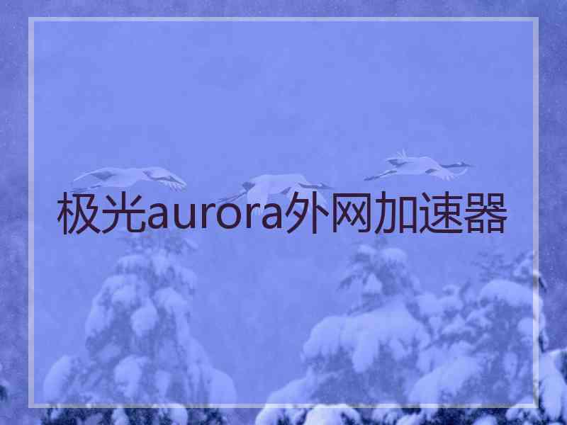 极光aurora外网加速器