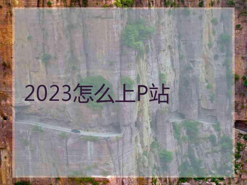 2023怎么上P站