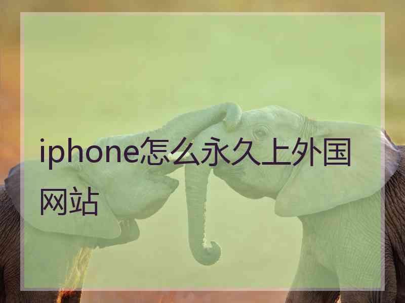 iphone怎么永久上外国网站