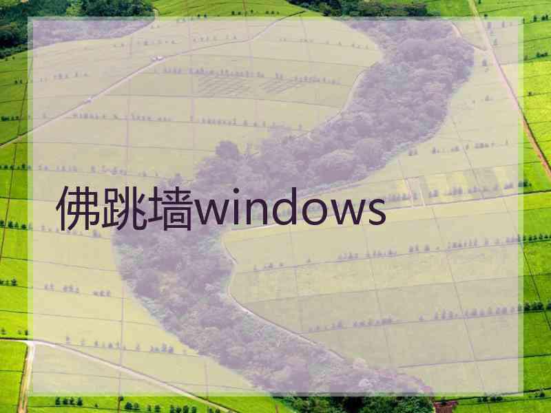 佛跳墙windows