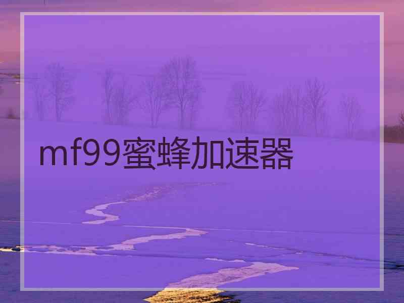 mf99蜜蜂加速器