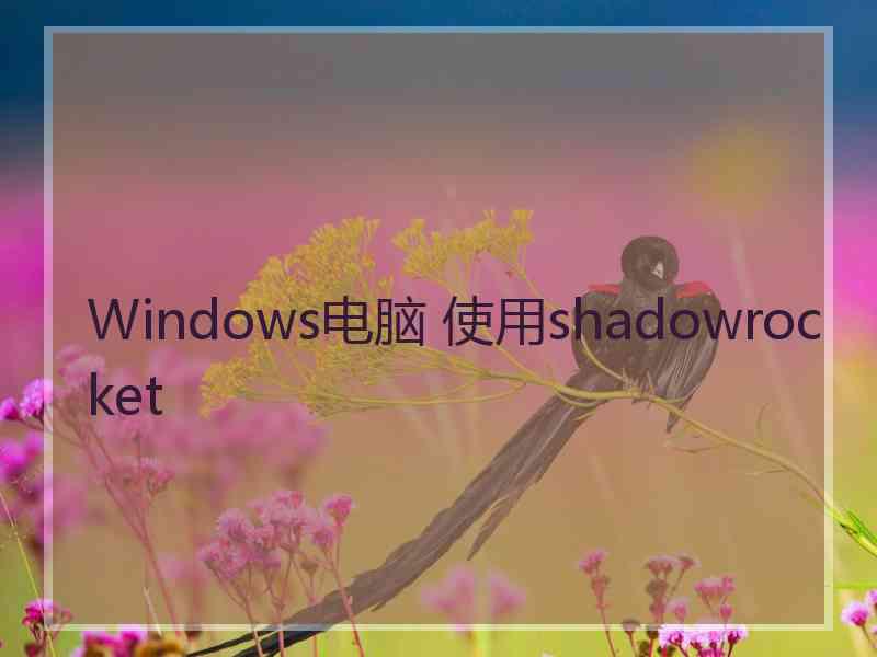 Windows电脑 使用shadowrocket