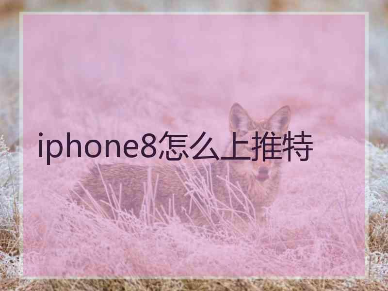 iphone8怎么上推特