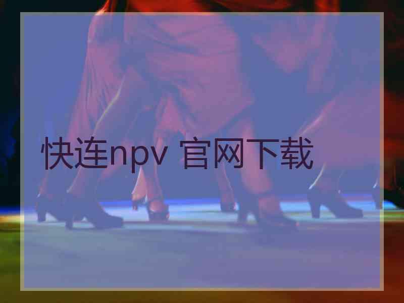 快连npv 官网下载