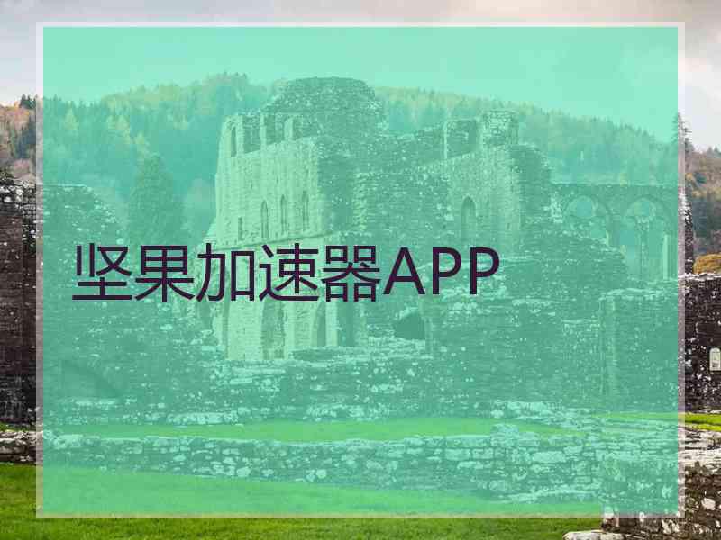 坚果加速器APP