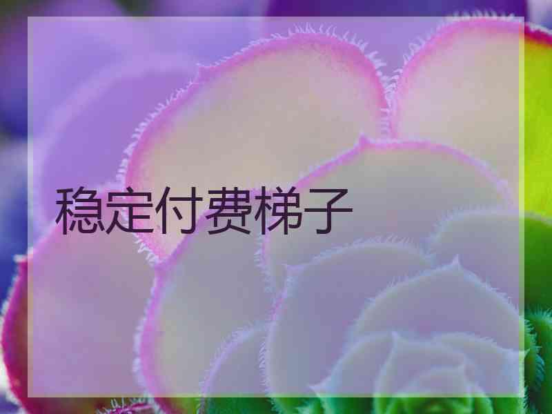 稳定付费梯子