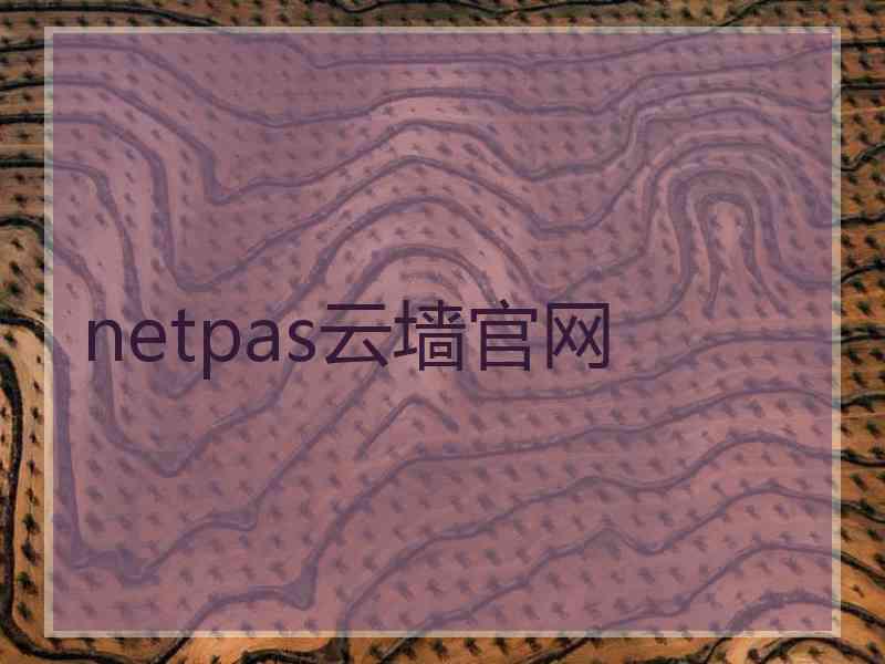 netpas云墙官网