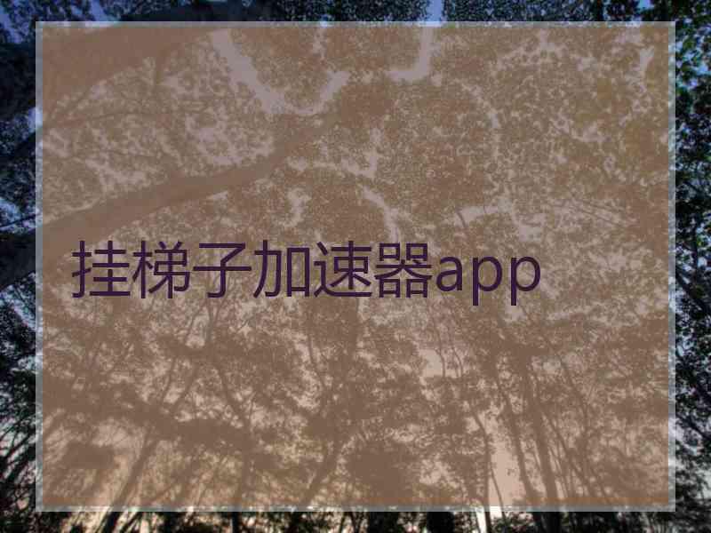 挂梯子加速器app