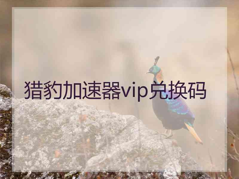 猎豹加速器vip兑换码