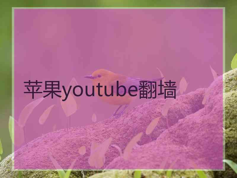 苹果youtube翻墙