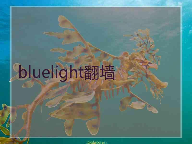 bluelight翻墙