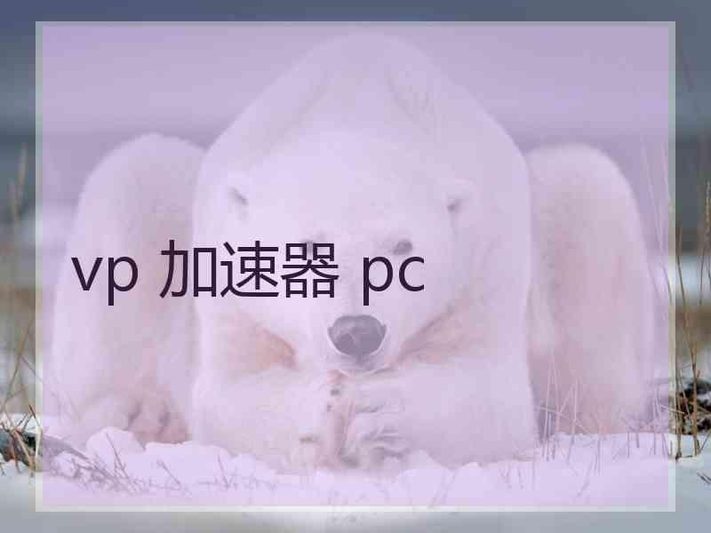 vp 加速器 pc