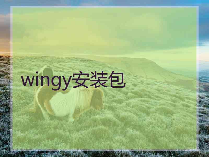 wingy安装包