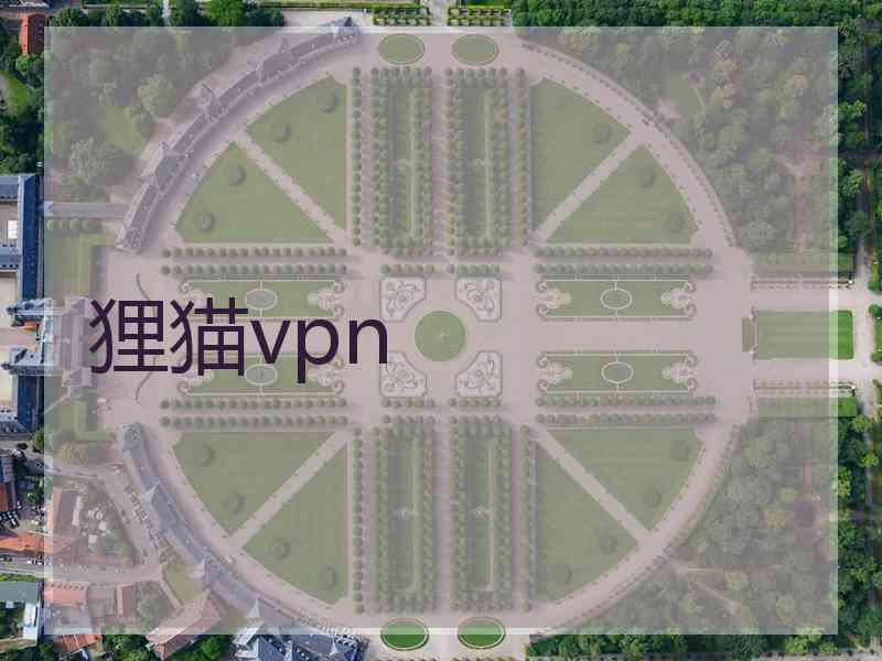 狸猫vpn