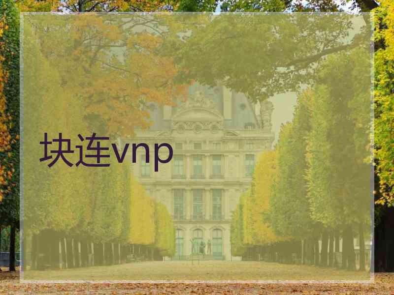 块连vnp