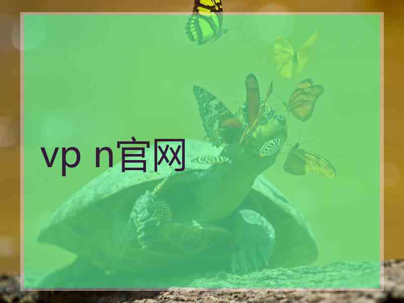 vp n官网