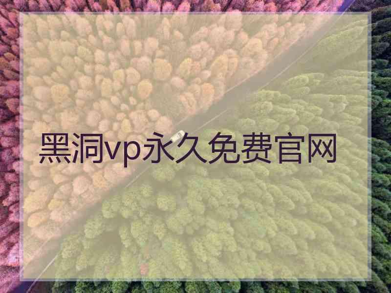 黑洞vp永久免费官网