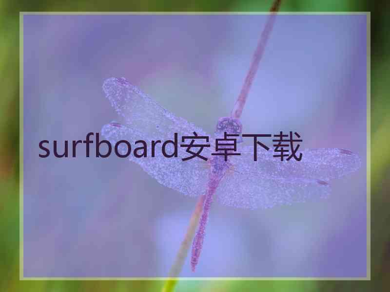 surfboard安卓下载