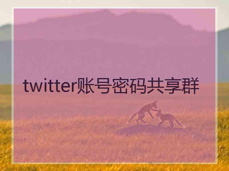 twitter账号密码共享群