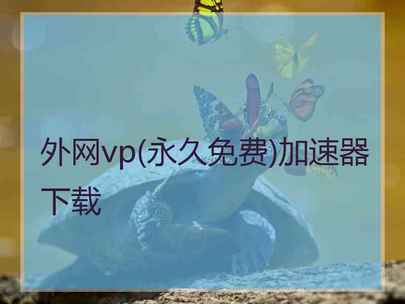 外网vp(永久免费)加速器下载